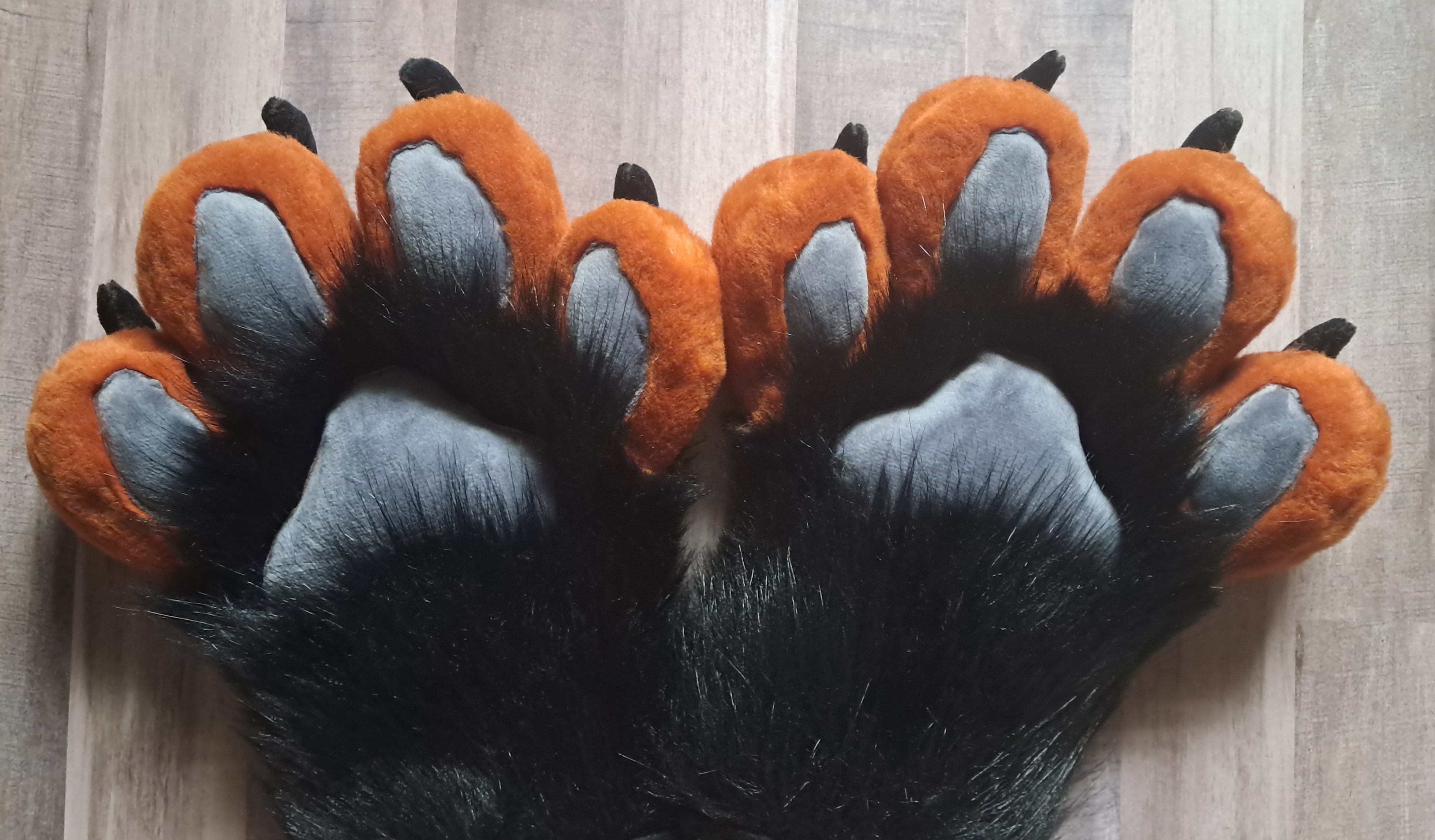 Fox handpaws
